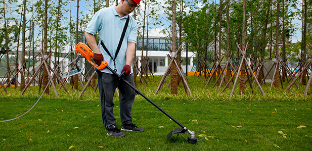 Elektrische grastrimmer en elektrische bosmaaier